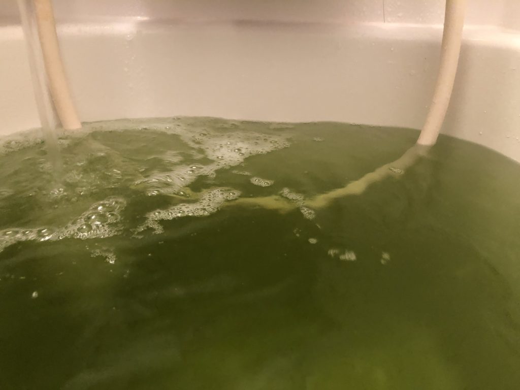 4種類混ぜたお風呂 4種類混ぜたお風呂