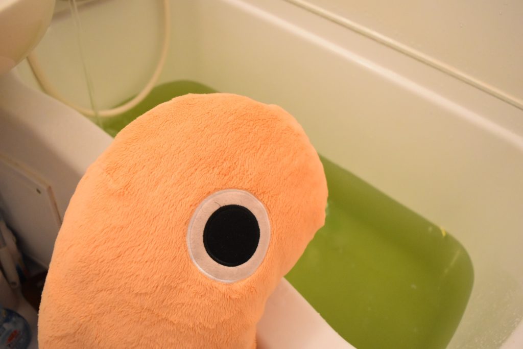 心配そうに見守るちんあなご先輩 心配そうに見守るちんあなご先輩