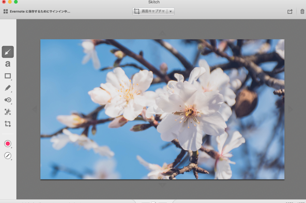 skitch切り取り後