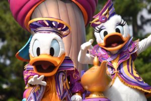 ディズニードナルド