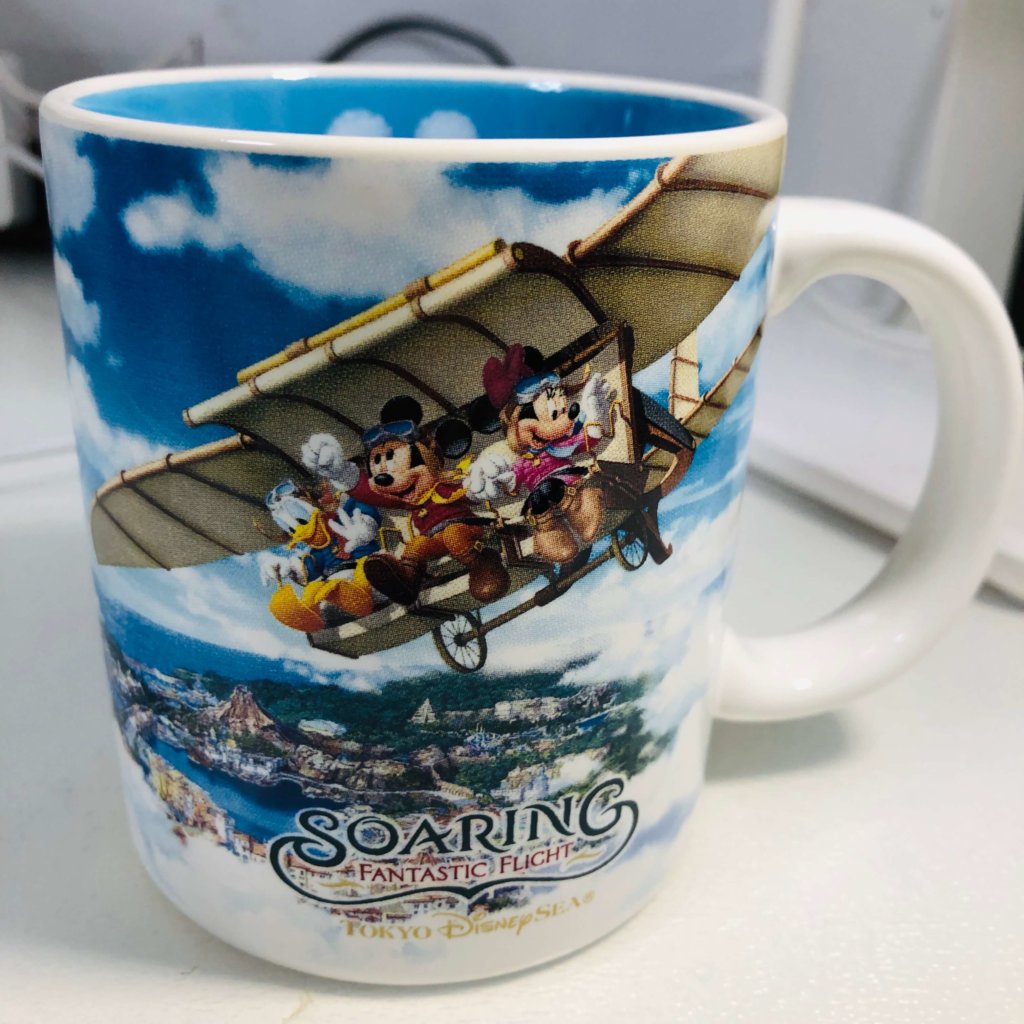 ソアリンお土産