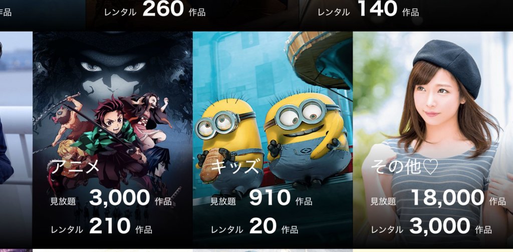 成人向けの動画も見放題