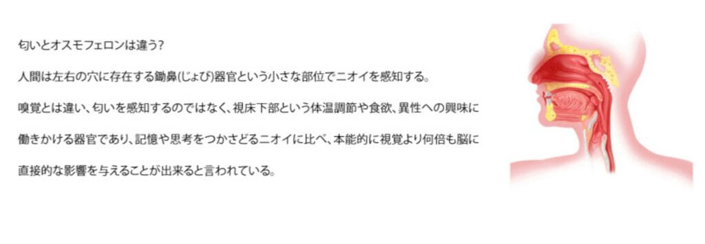 オスモフェロンについて