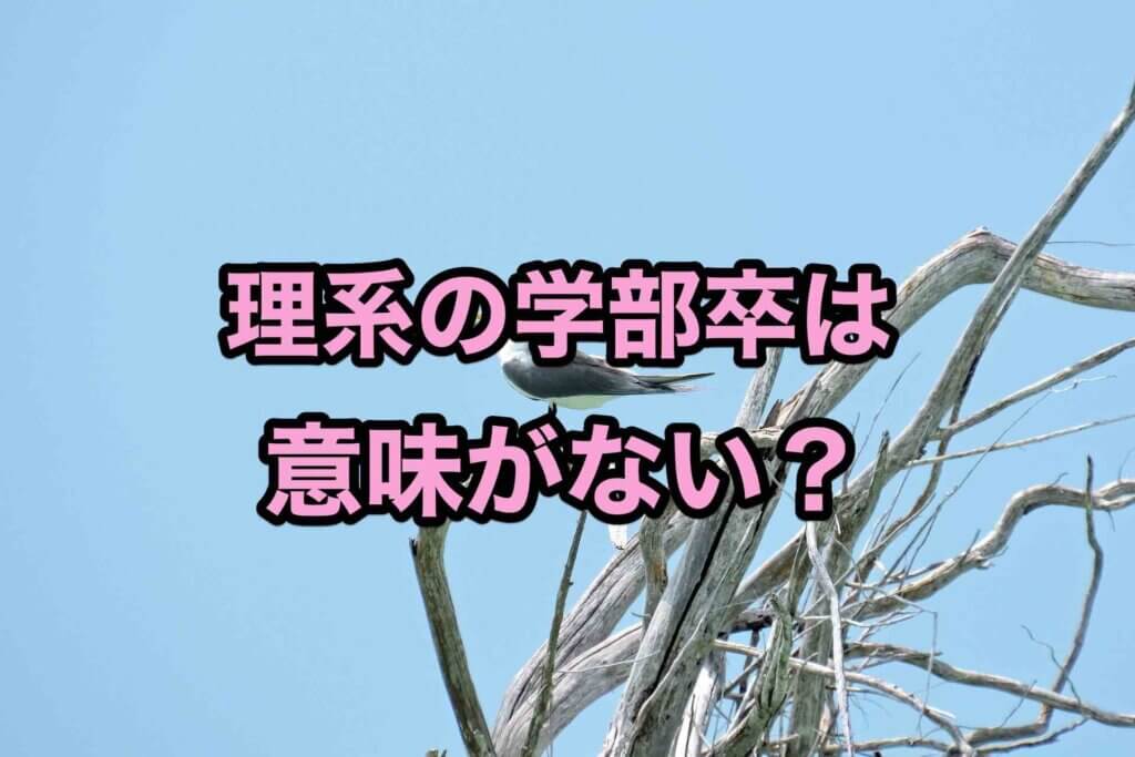 理系の学部卒が意味ないのかどうか