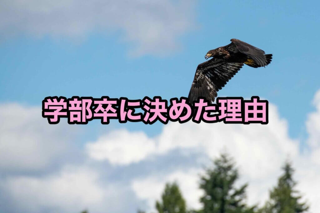 理系大学生が学部卒に決めた理由