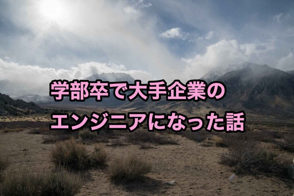 理系学部卒で大手企業のエンジニアになった話