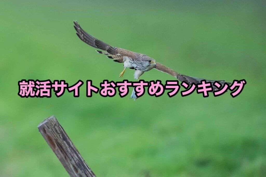 就活サイトおすすめランキング